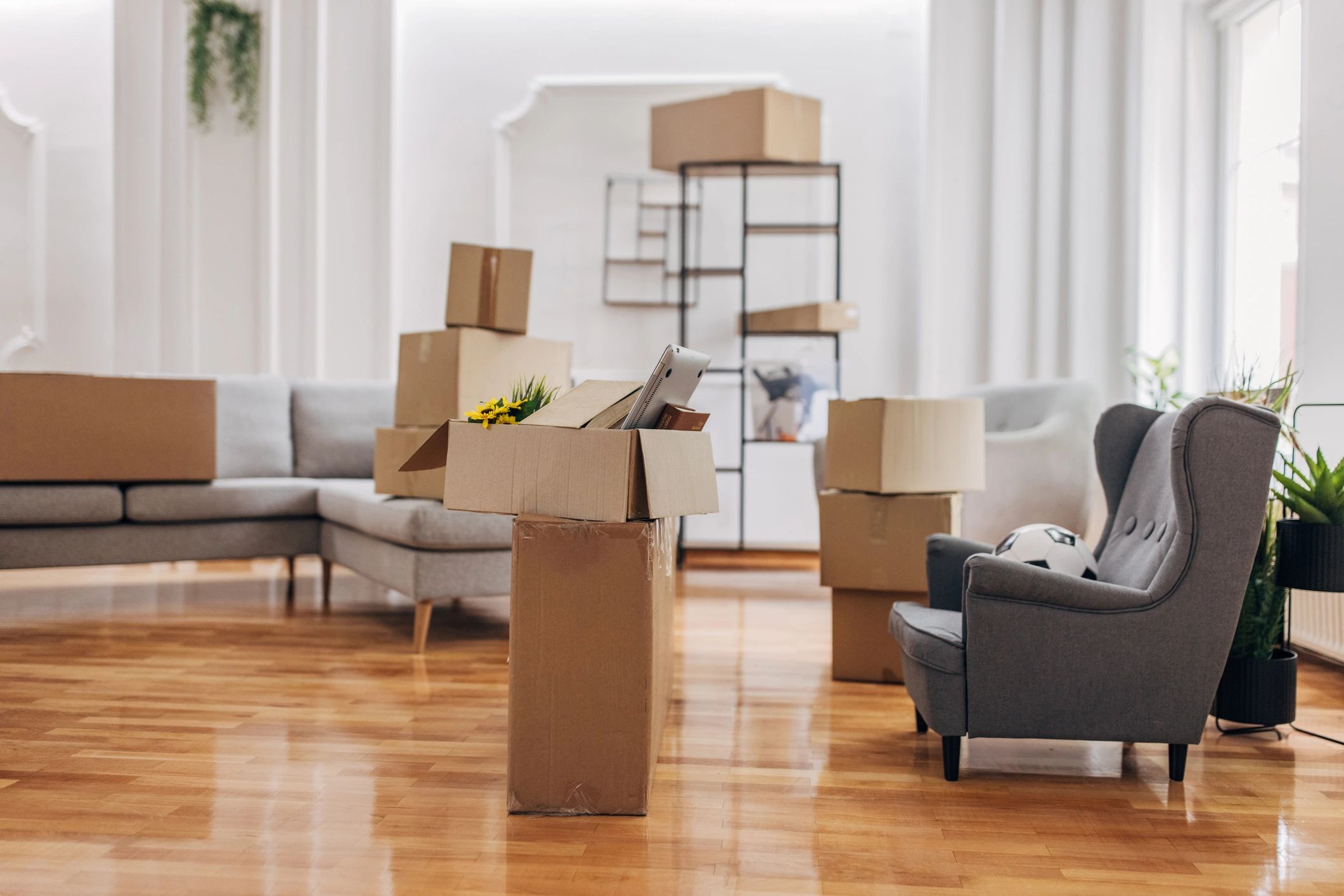 Apartment with boxes and furniture during move-in