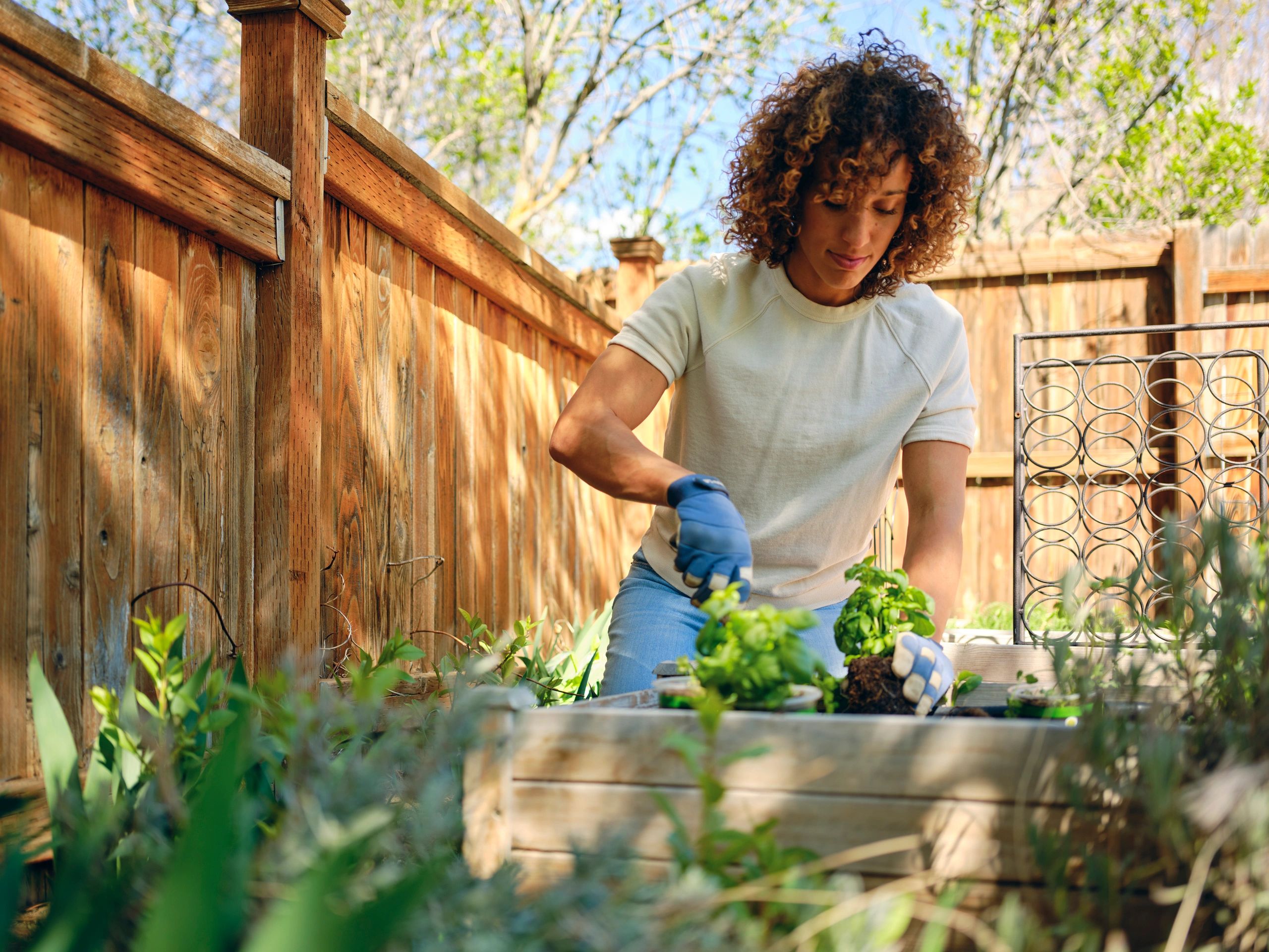 Outdoor yard work in a garden